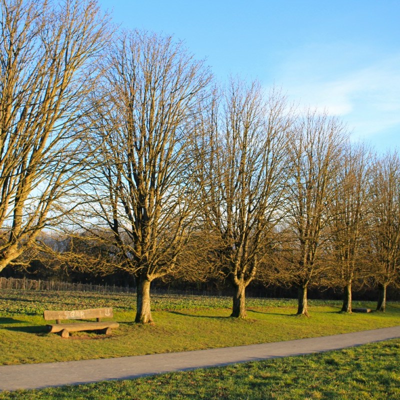 A winter walk in Vaud delights, heals and&nbsp;inspires