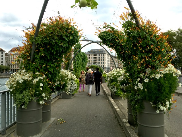 Pont des Bergues