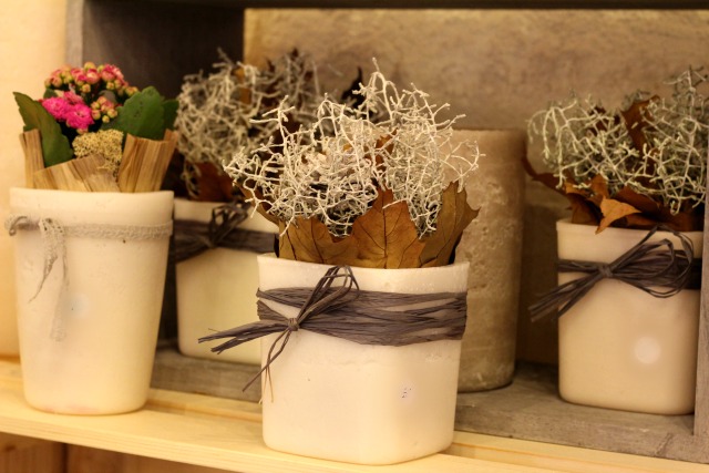 photophores in geneva