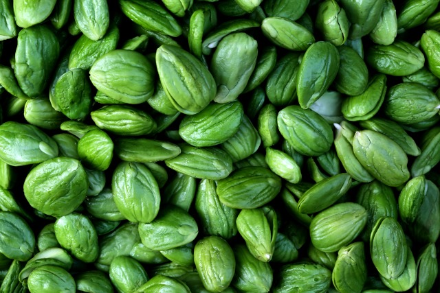 ethnic food supply shops in Geneva