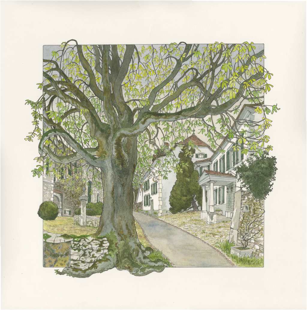 Lémanique Treasures: Marion Jiranek’s Artistic Showcase at La Galerie&nbsp;Esquisse